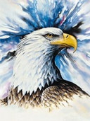 Individual Liberty and False Arrest