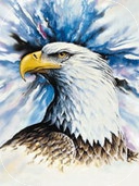 Individual Liberty and Malicious Prosecution