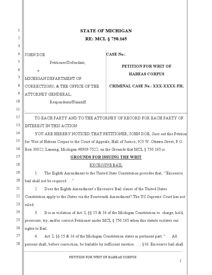 Constitutional Defense Against Excessive Bail